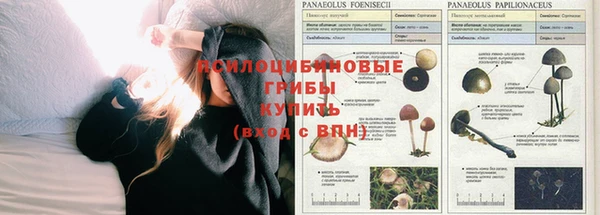 молекула духа Наволоки
