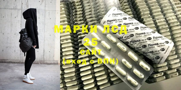 прущие грибы Навашино