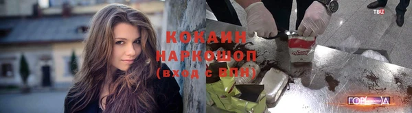 прущие грибы Навашино