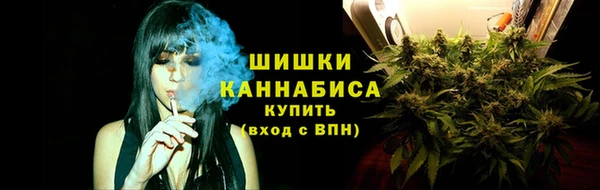 молекула духа Наволоки