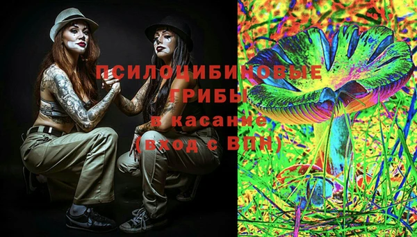 прущие грибы Навашино