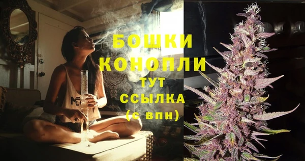 молекула духа Наволоки
